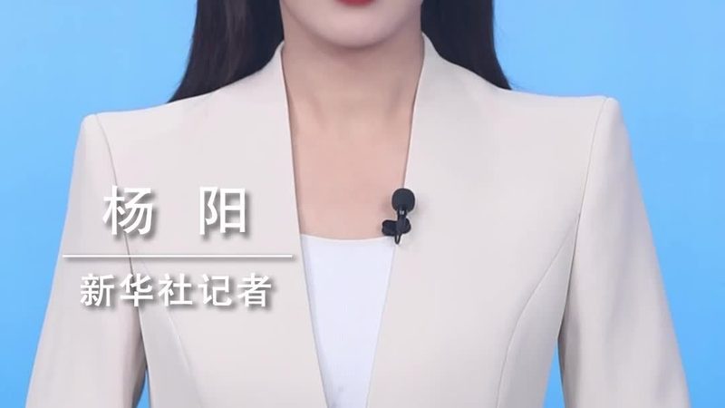 成都软件测试公司招聘标准：解码人才选拔之道